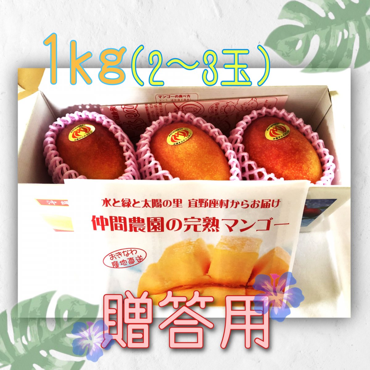 【御中元・贈答用秀品約1㎏】沖縄宜野座村産完熟マンゴー(2〜3玉)