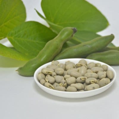 0000056520_20210903_131453_622