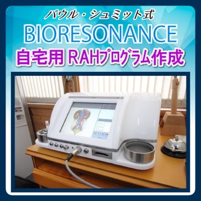 PS10所有者限定ヒト用STI波動テスト、プログラム作成/パウル・シュミットのバイオレゾナンス健康法チケット