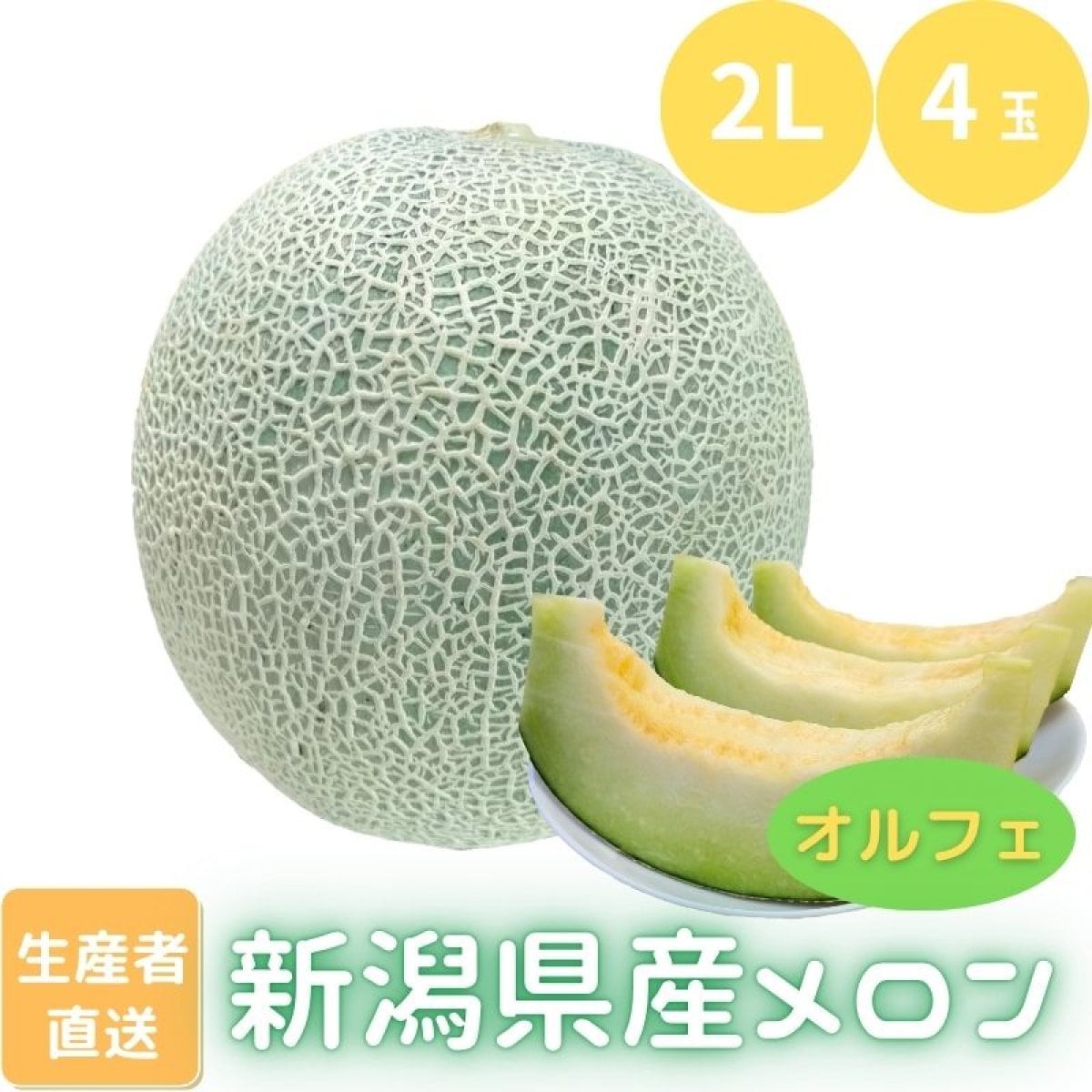 2L/4玉】【メロン/オルフェ】農園ビギンさんのメロン【高ポイント】