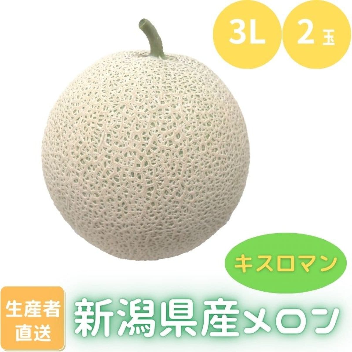 【3L/2玉】【メロン/キスロマン】農園ビギンさんのメロン