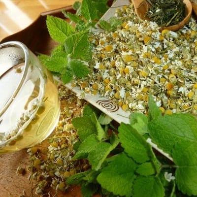 ハーブティー・ブレンド講座【初めての方大歓迎】