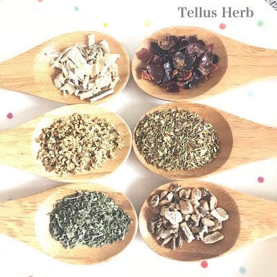 ハーブティー・ブレンド講座【初めての方大歓迎】