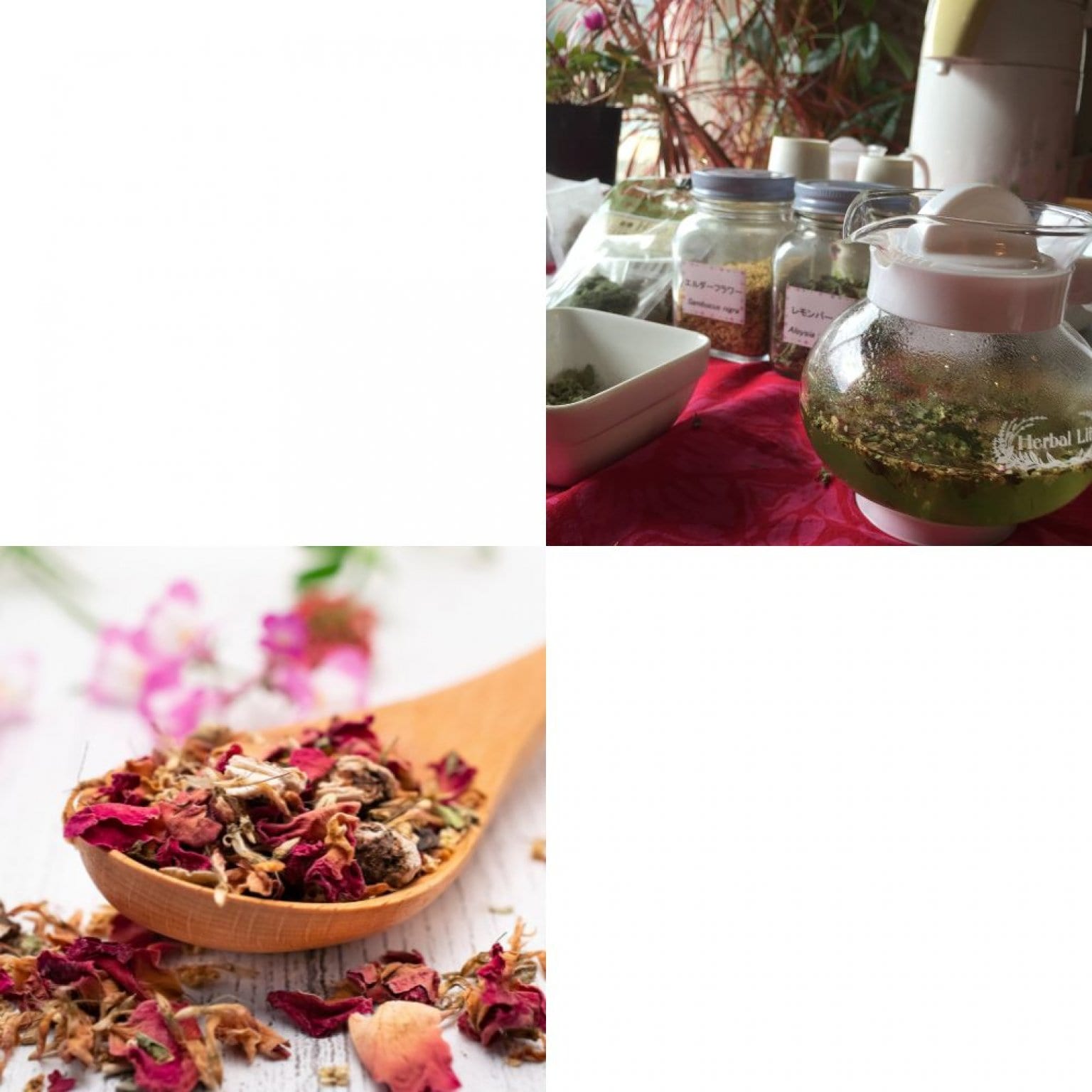 ハーブティー・ブレンド講座【初めての方大歓迎】
