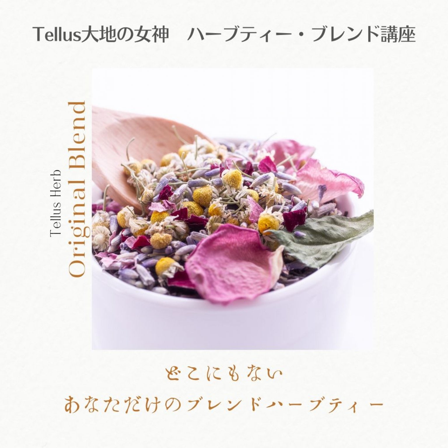 ハーブティー・ブレンド講座【初めての方大歓迎】