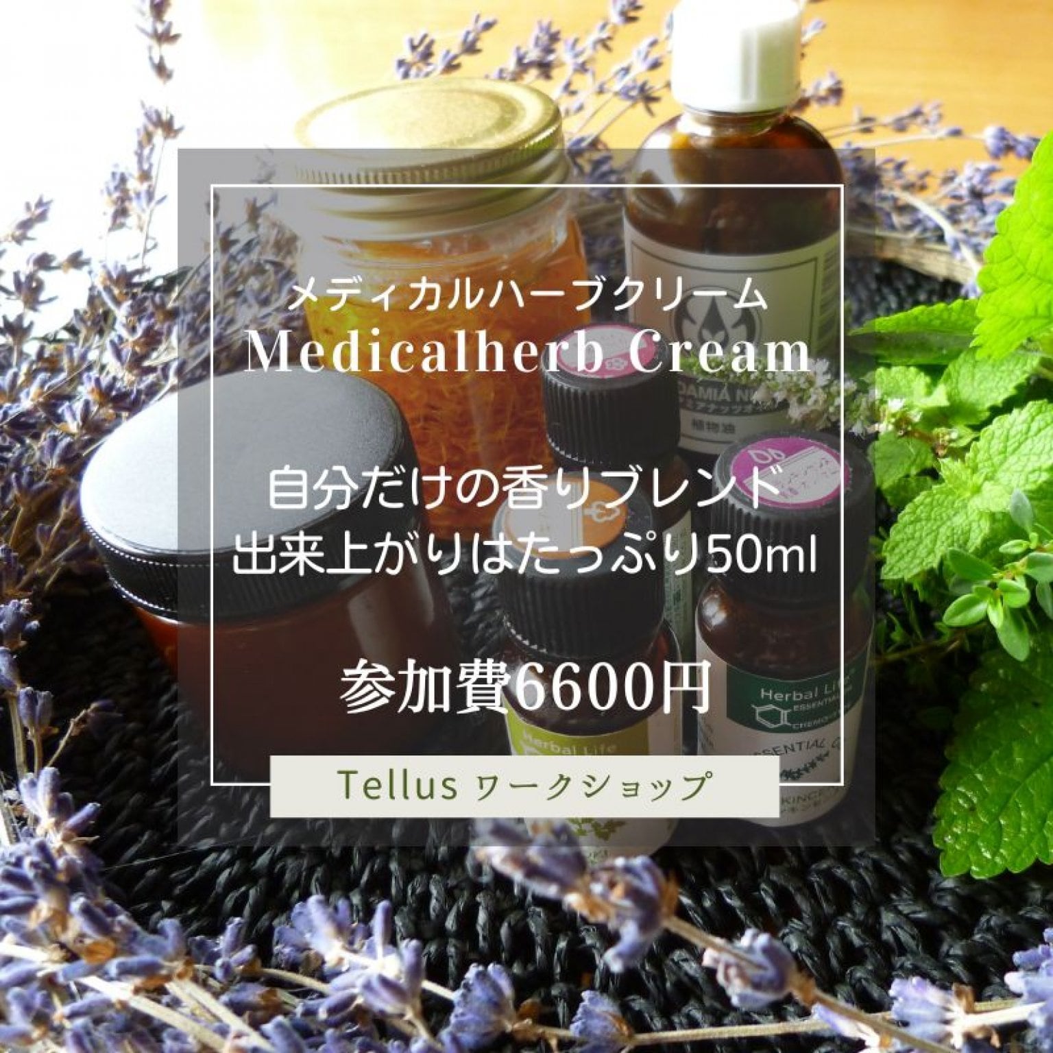 たっぷりメディカルハーブのクリーム（軟膏)づくり50ｇ遮光瓶