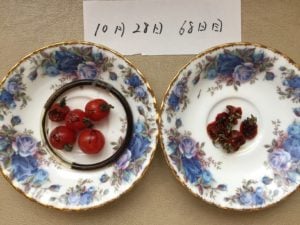 通販】《手首用》高波動液入りヴァルナ・チューブ【メーカー直送】