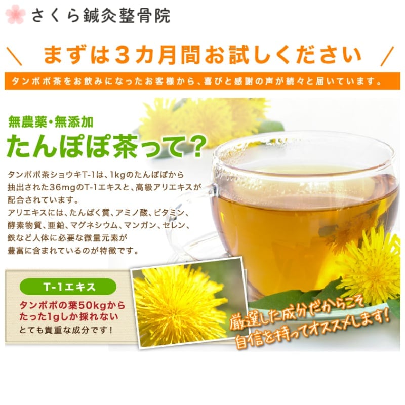 タンポポ茶「ショウキT-1」30包入り 一包100ml
