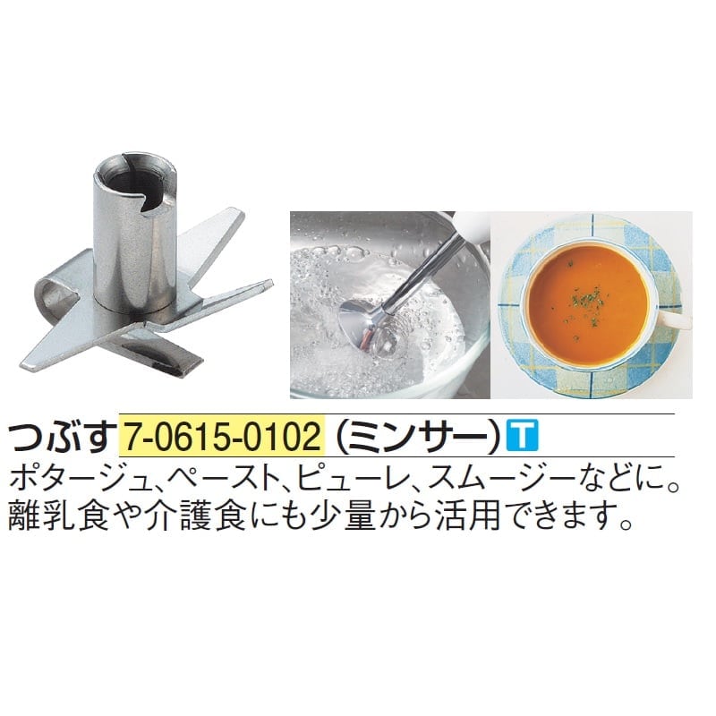 バーミックス ガストロ 300