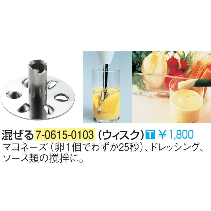 バーミックス ガストロ 300