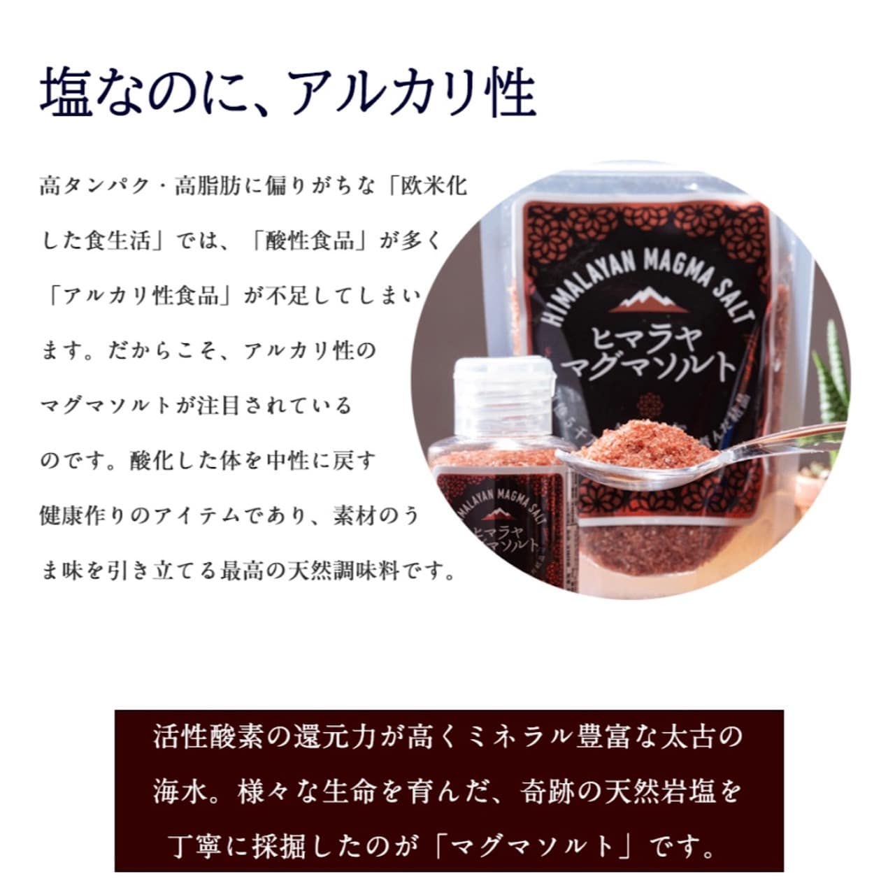 ヒマラヤ マグマソルト 徳用100g