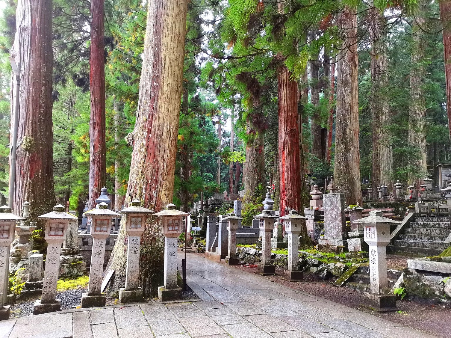 弘法大師も飲んだ1200年前の平安時代のお茶体験（空海茶）1人用