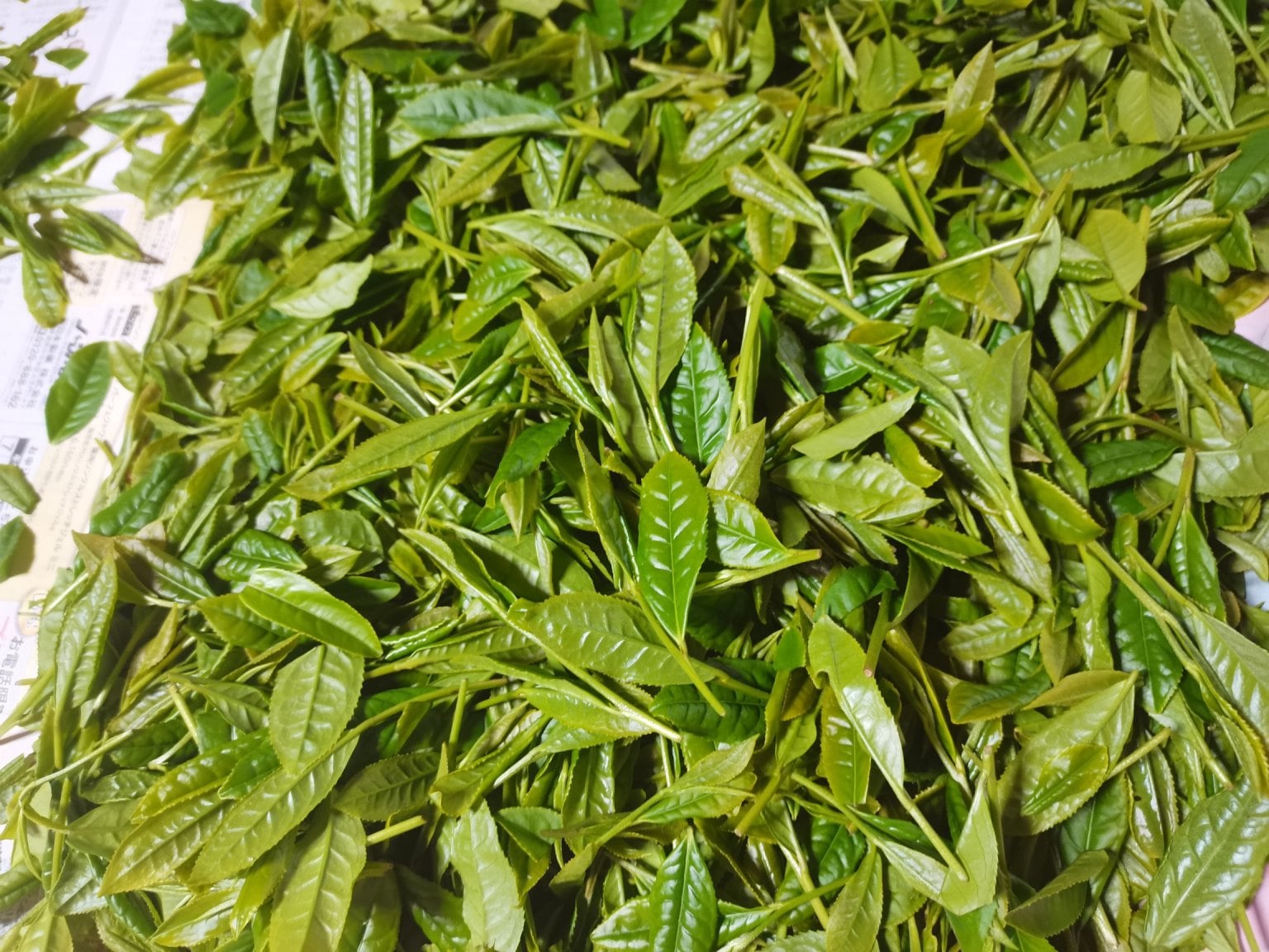 弘法大師も飲んだ1200年前の平安時代のお茶体験（空海茶）1人用