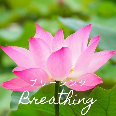 【ビーマーライトペン】体験セッション