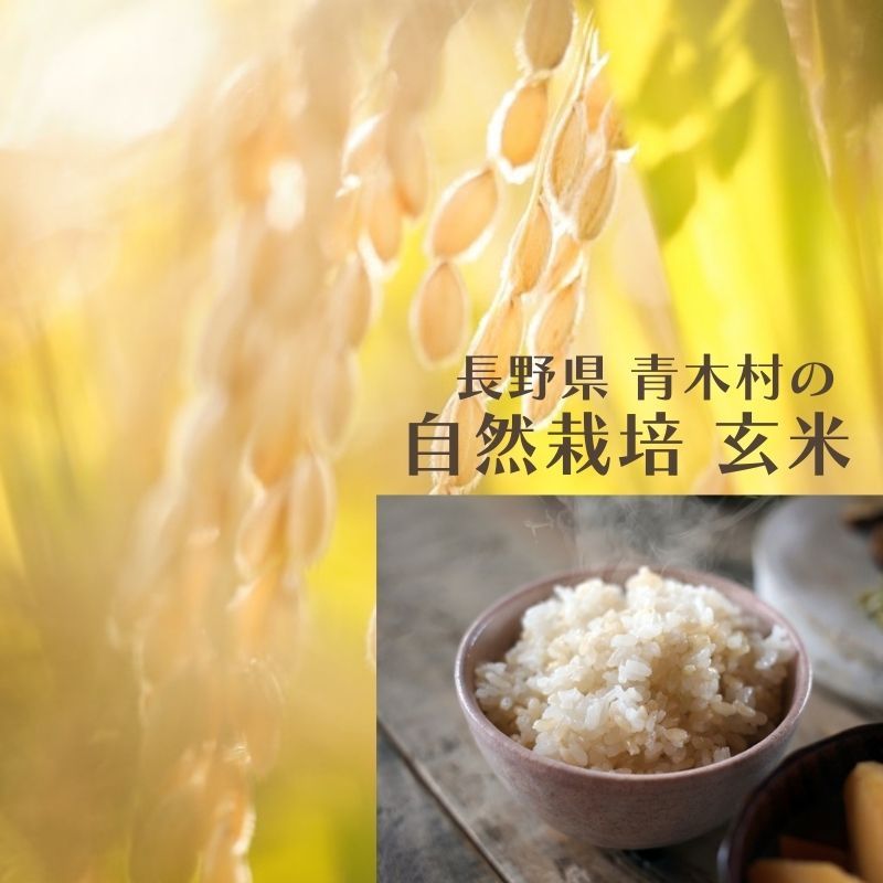 自然栽培コシヒカリ玄米 1kgから｜長野県青木村｜信州自然農園ゆりく