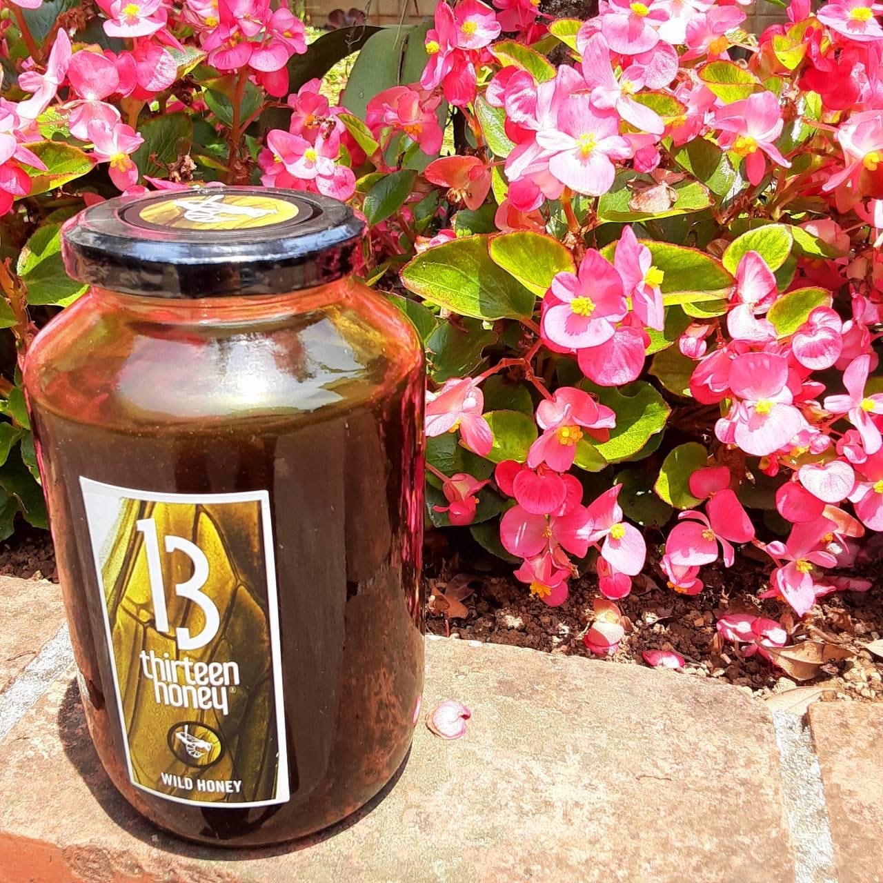 蜂蜜 はちみつ タスマニア島 レザーウッド LEATHERWOOD 125g – L'ABEILLE