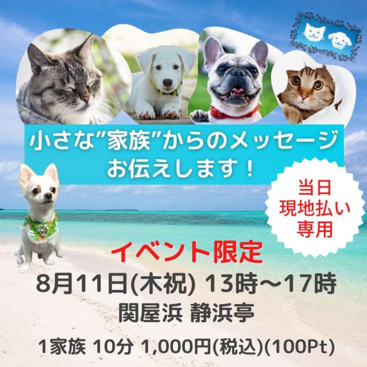 8/11(木祝)限定『小さな”家族”からのメッセージお伝えします！』1,000円(税込)/1家族(10分)/現地払い専用