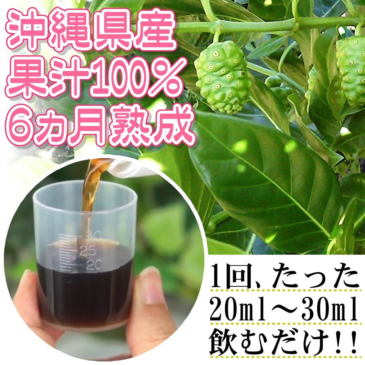 ちゃ〜がんじゅう(とっても健康)セット「沖縄県産ノニジュース(瓶