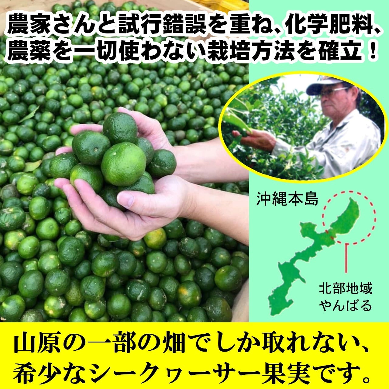 農薬不使用の山原シークヮーサー黒ラベル 720ml/沖縄産シークヮーサー