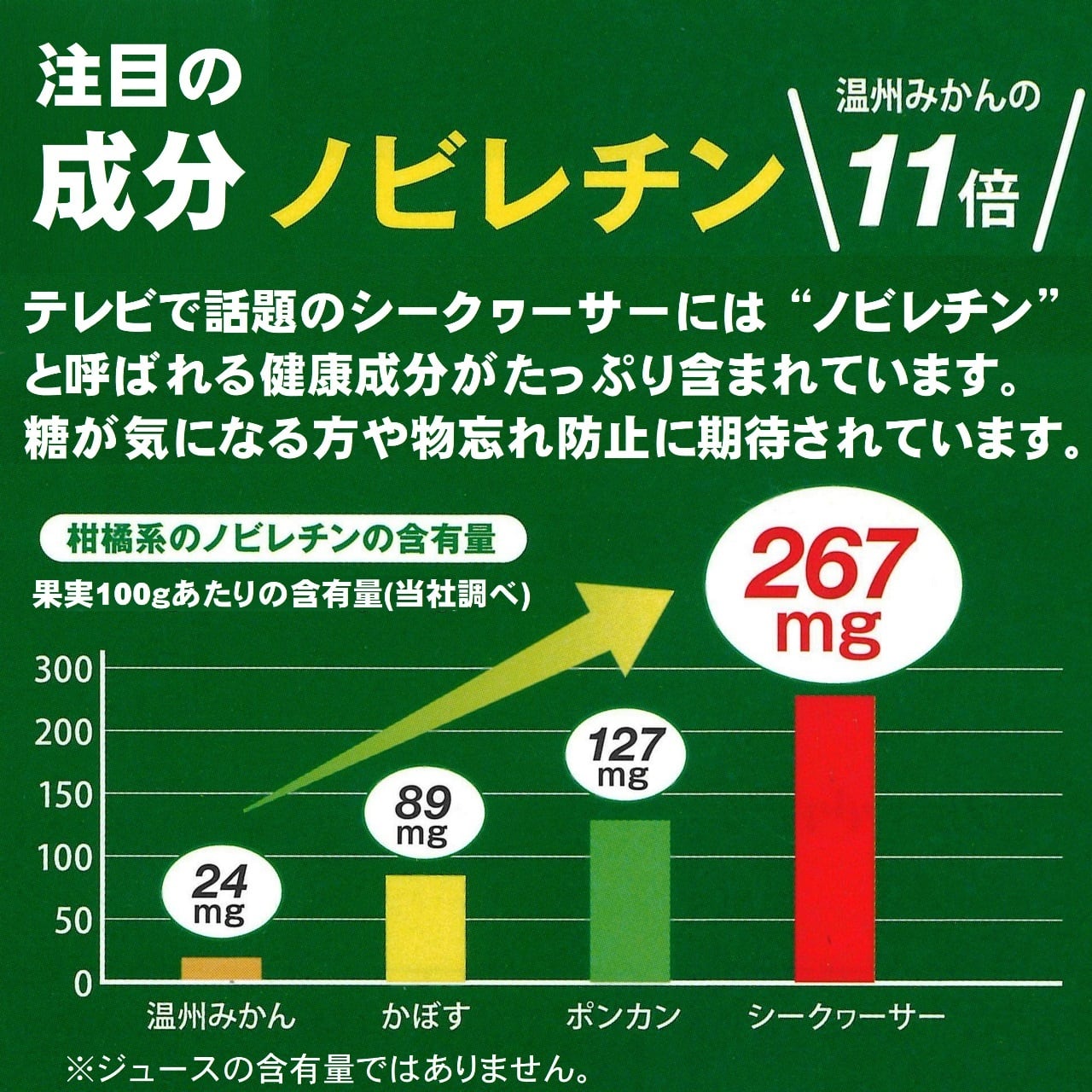 みったん　大粒シークヮーサー　農薬不使用 みったん様専用 大粒シークヮーサー 農薬不使用 【公式通販】