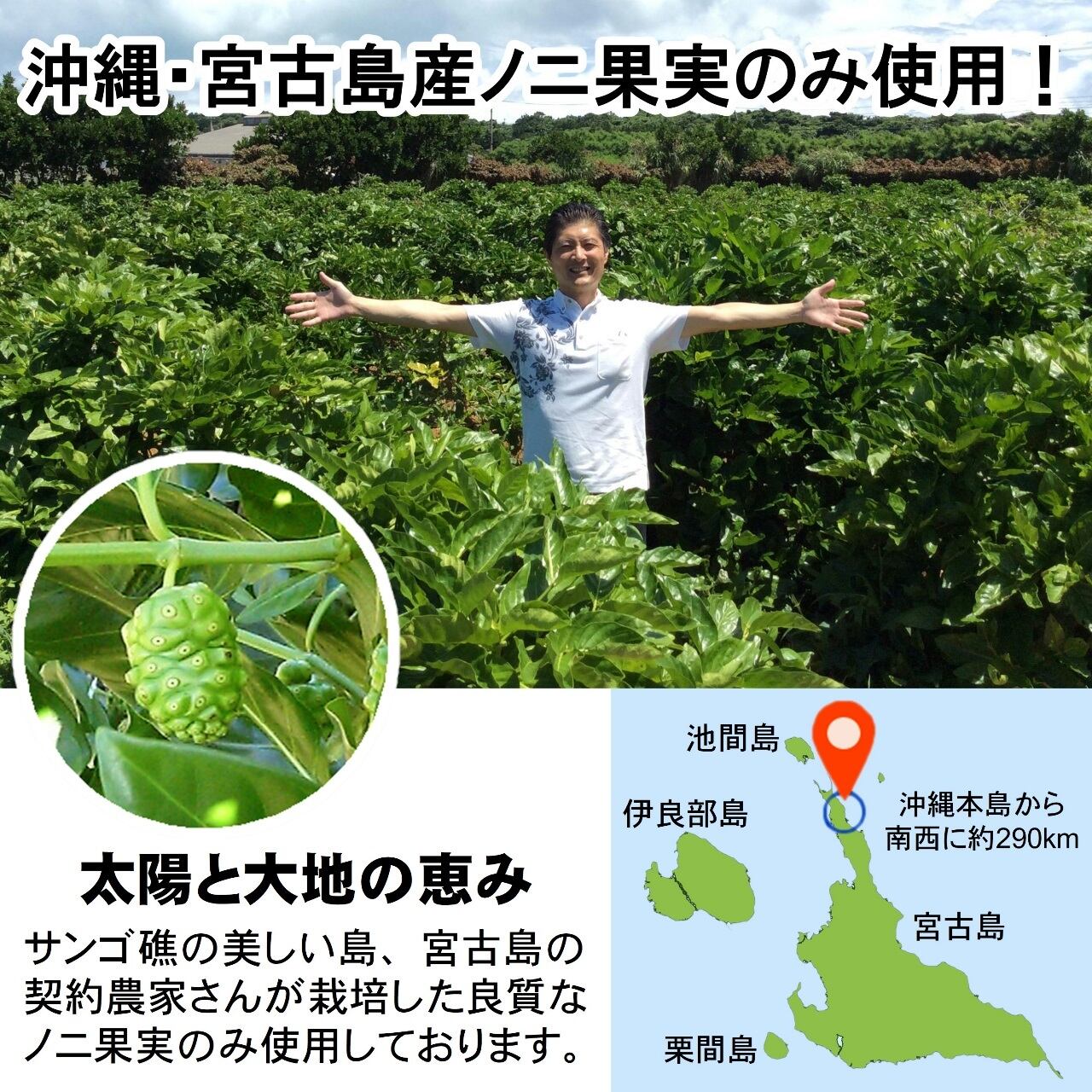 沖縄県産ノニジュース(瓶) 500ml/140種類以上の有効成分を含む「奇跡の