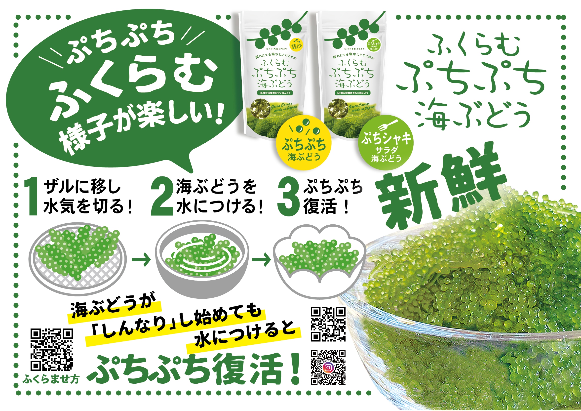 お買い得】ふくらむ ぷちぷち海ぶどう 40g×10袋