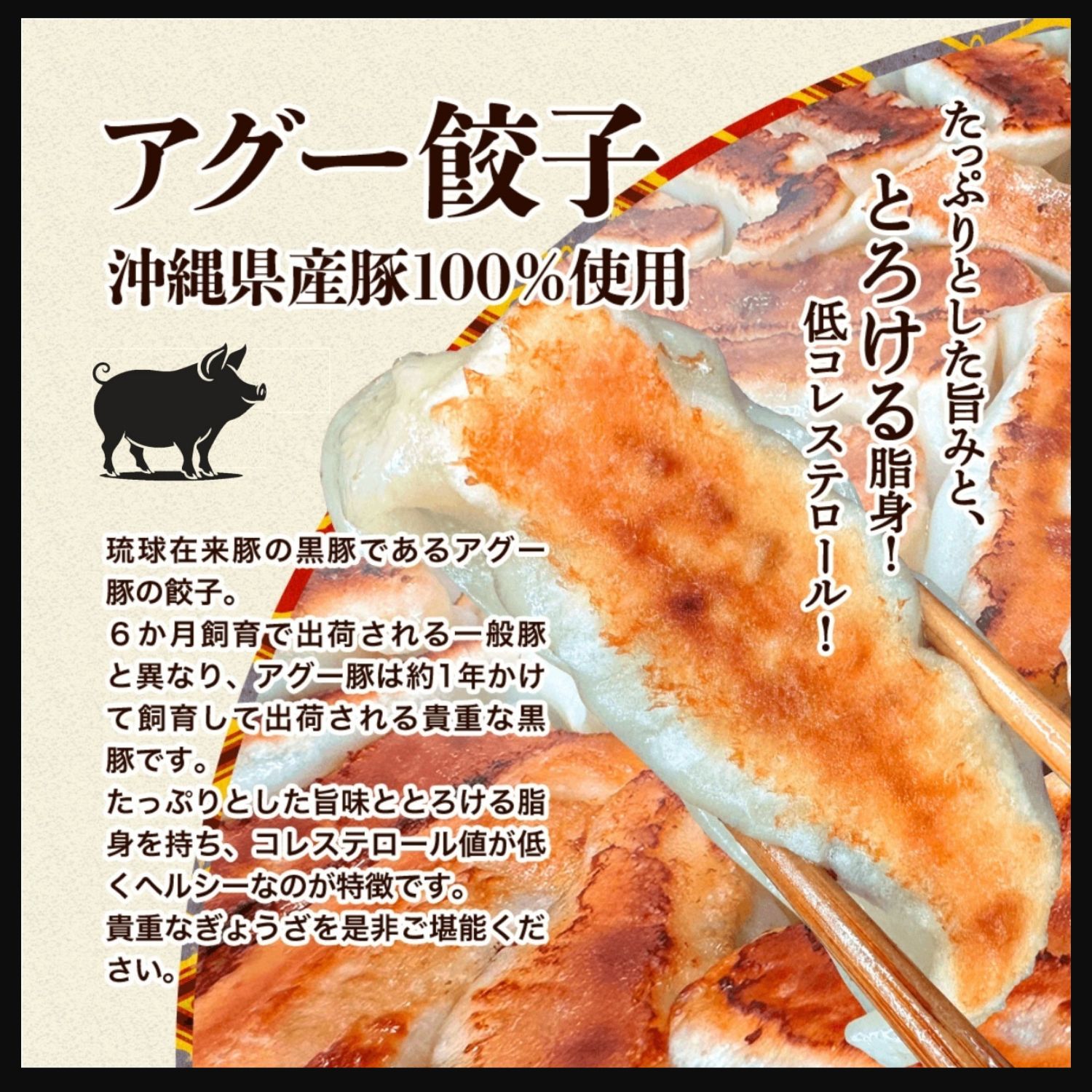 琉珉珉」沖縄冷凍餃子48個(12個入×4種類) 香港で50万個以上の販売実績