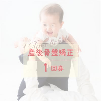 整体(1回券)