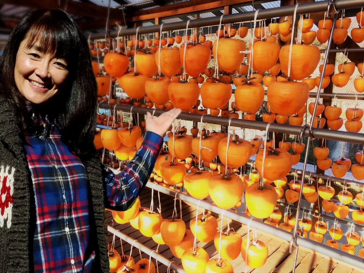 超特大！！とろける「みず柿」（あんぽ柿）LLLLL10個入り