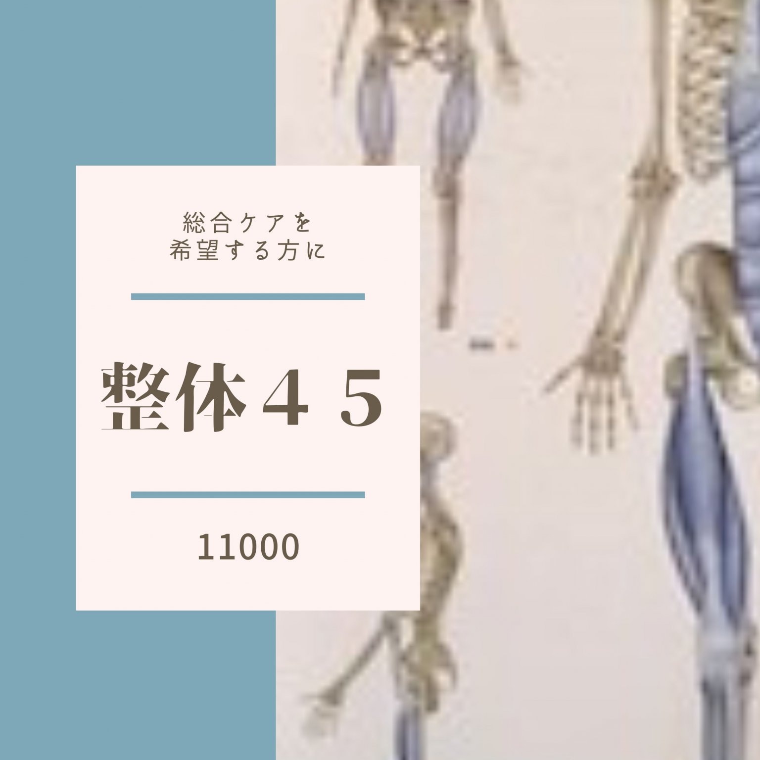 整体　４５　（お痛み、骨格歪み、自律神経系等の総合ケアを希望する方に）