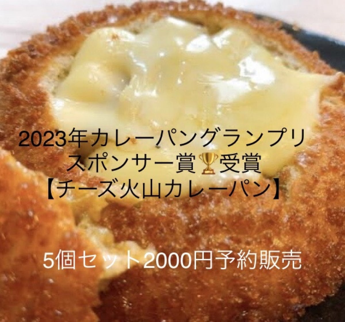 2023年カレーパングランプリスポンサー賞受賞!!チーズ火山カレーパン 5個入り2000円 予約販売