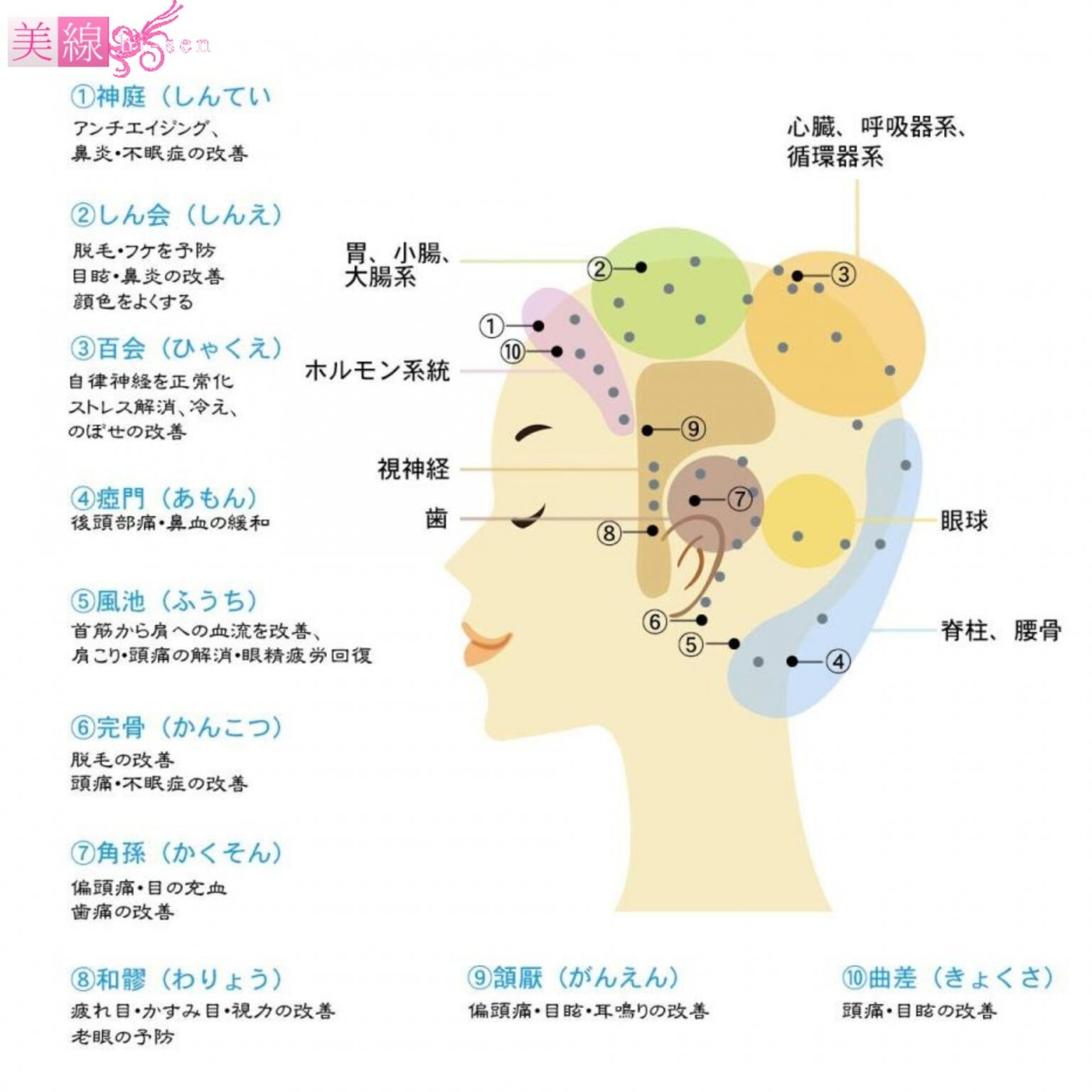 ヘッドマッサージ 60分 （男女可）ドライタイプ