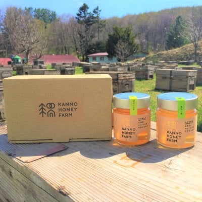 【菅野養蜂場一押しセット】菩提樹＆アカシア　250g　2本セット