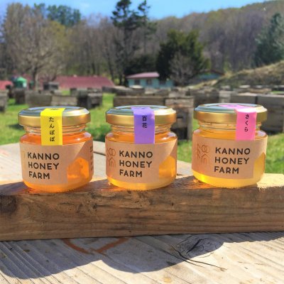 【直売・ツクツク限定】はちみつ50g３種食べ比べセット