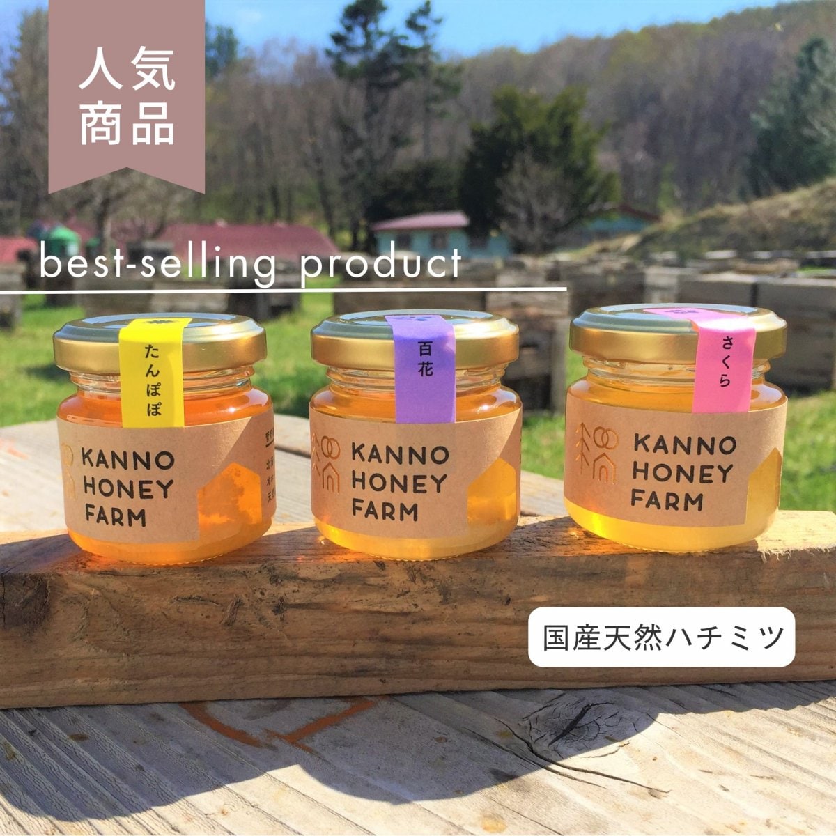 【直売・ツクツク限定】はちみつ50g3種食べ比べセット