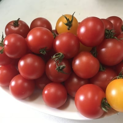 １番人気！プレミアムミディトマト　800g