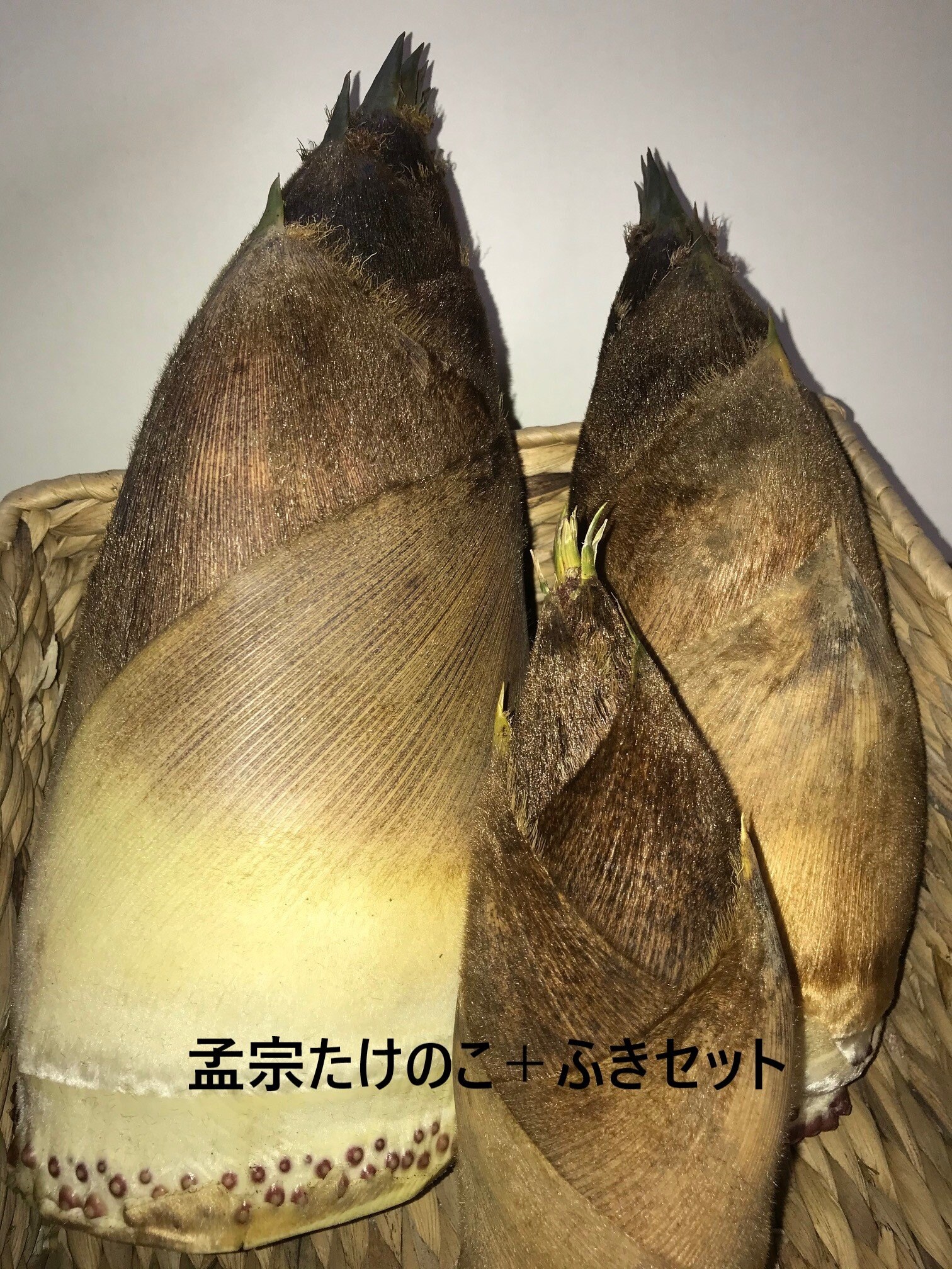 初物採れ始めました◇旬の孟宗たけのこ＋アスパラ合計3.5kg◇埼玉産 