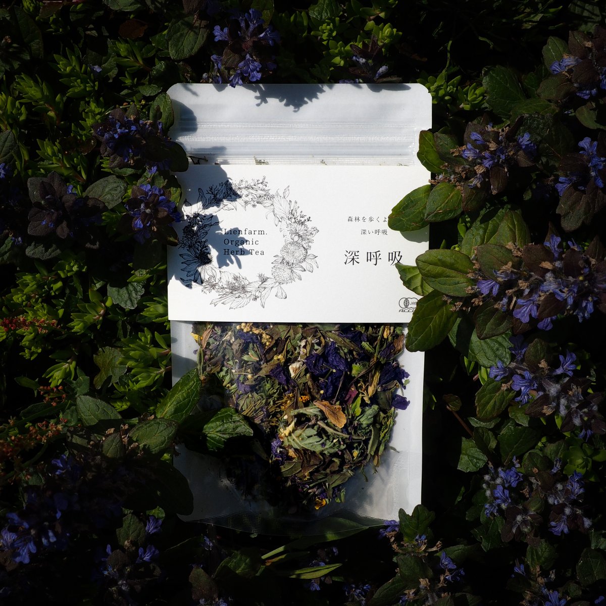 風邪予防サポート 有機ハーブティー 「深呼吸」