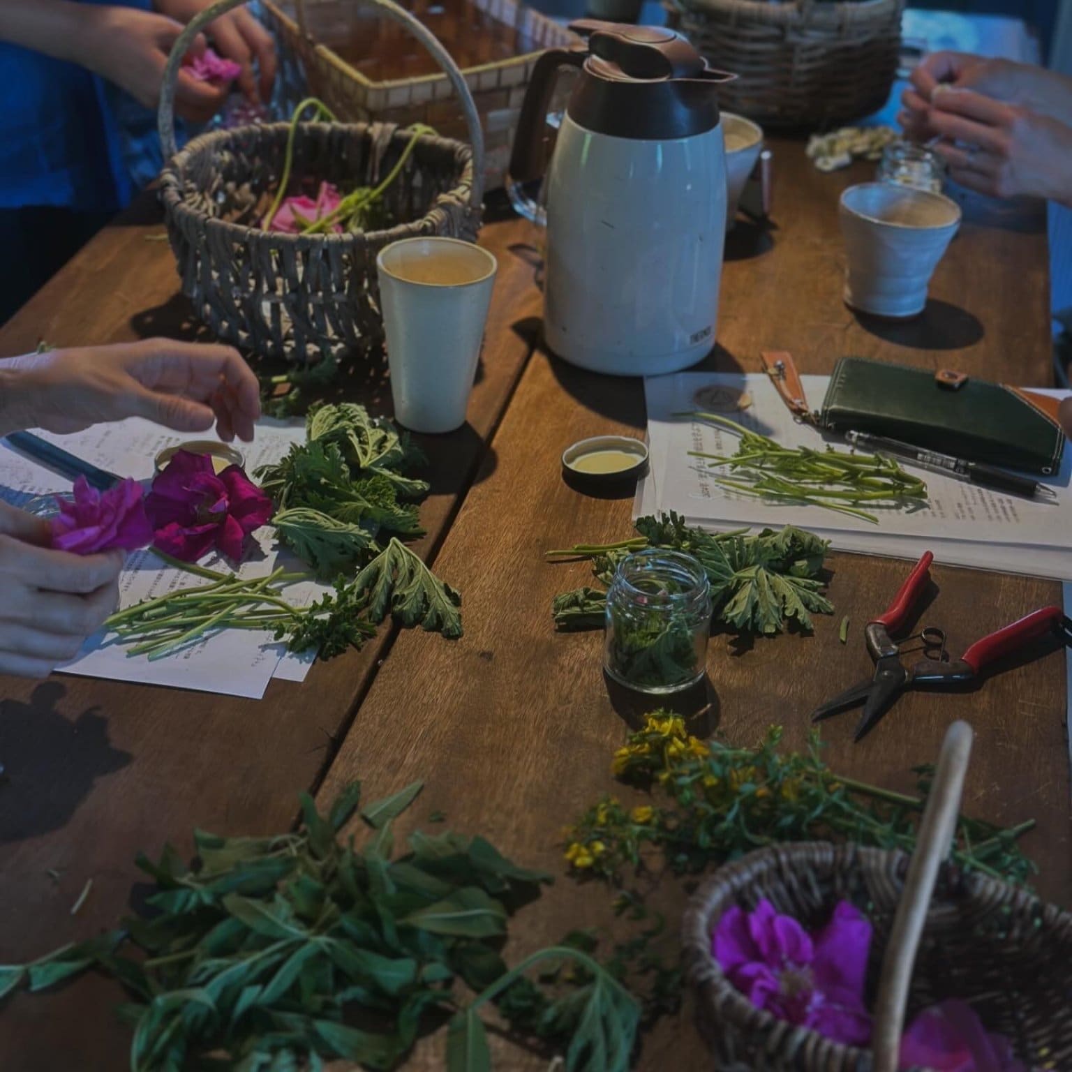 Lienfarm農泊2025年-6月編- Lienfamご滞在ご予約用