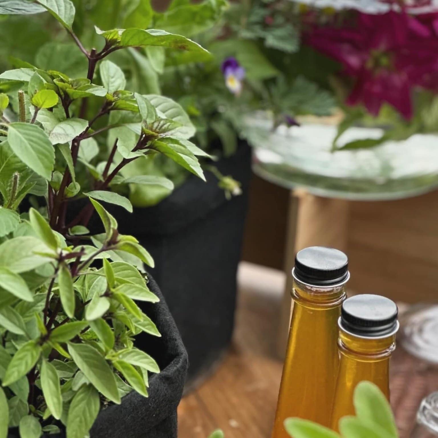 Lienfarm農泊2025年-6月編- Lienfamご滞在ご予約用