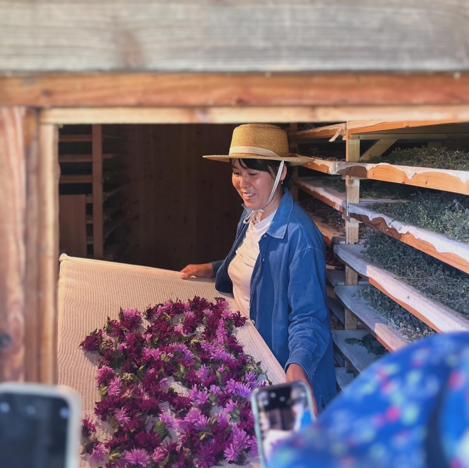 Lienfarm農泊2025年-6月編- Lienfamご滞在ご予約用