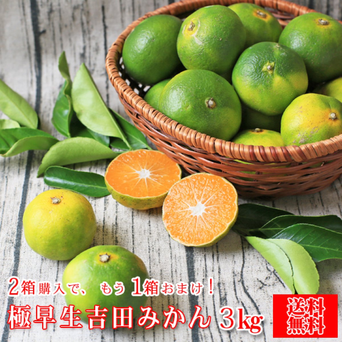 【f極 03】極早生 吉田みかん 3kg　※2箱ご購入でもう1箱おまけ！（多少の枝傷・葉傷・黒点等有り）（家庭用・2S〜2Lサイズ込み)【愛媛県産】【送料無料】