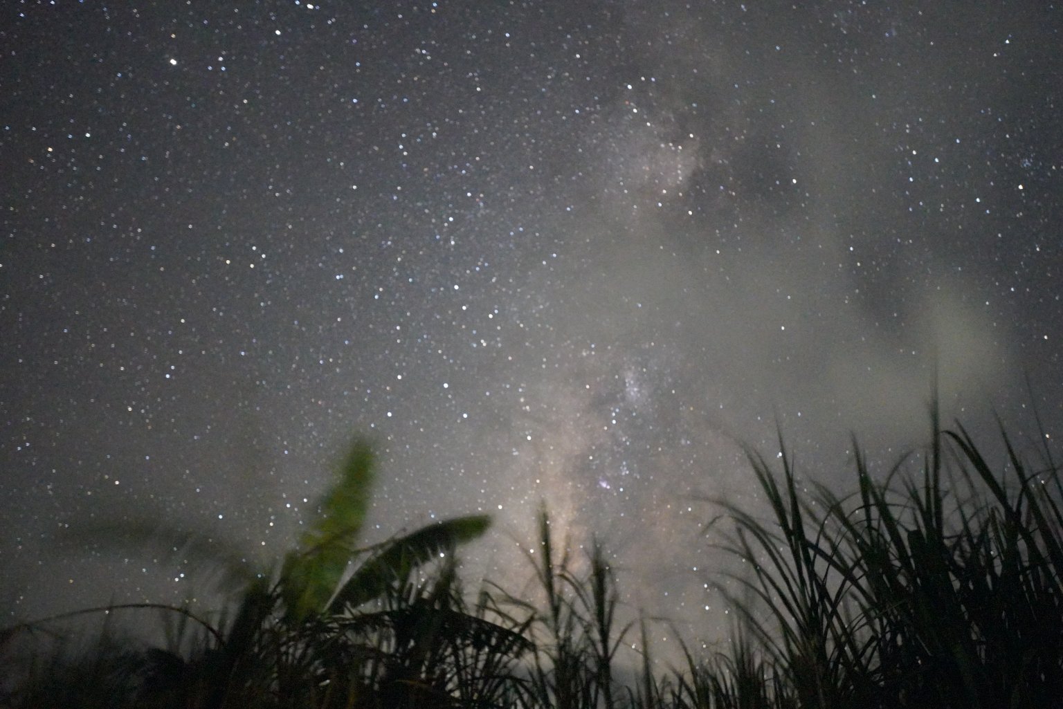 夜空ツアー【与論島2泊以上のお客様へ）通常５，５００円２０２６年３月中旬まで＊定員に達した時点で終了します。＊ツアー終了後にアンケートのご協力をおねがいします。