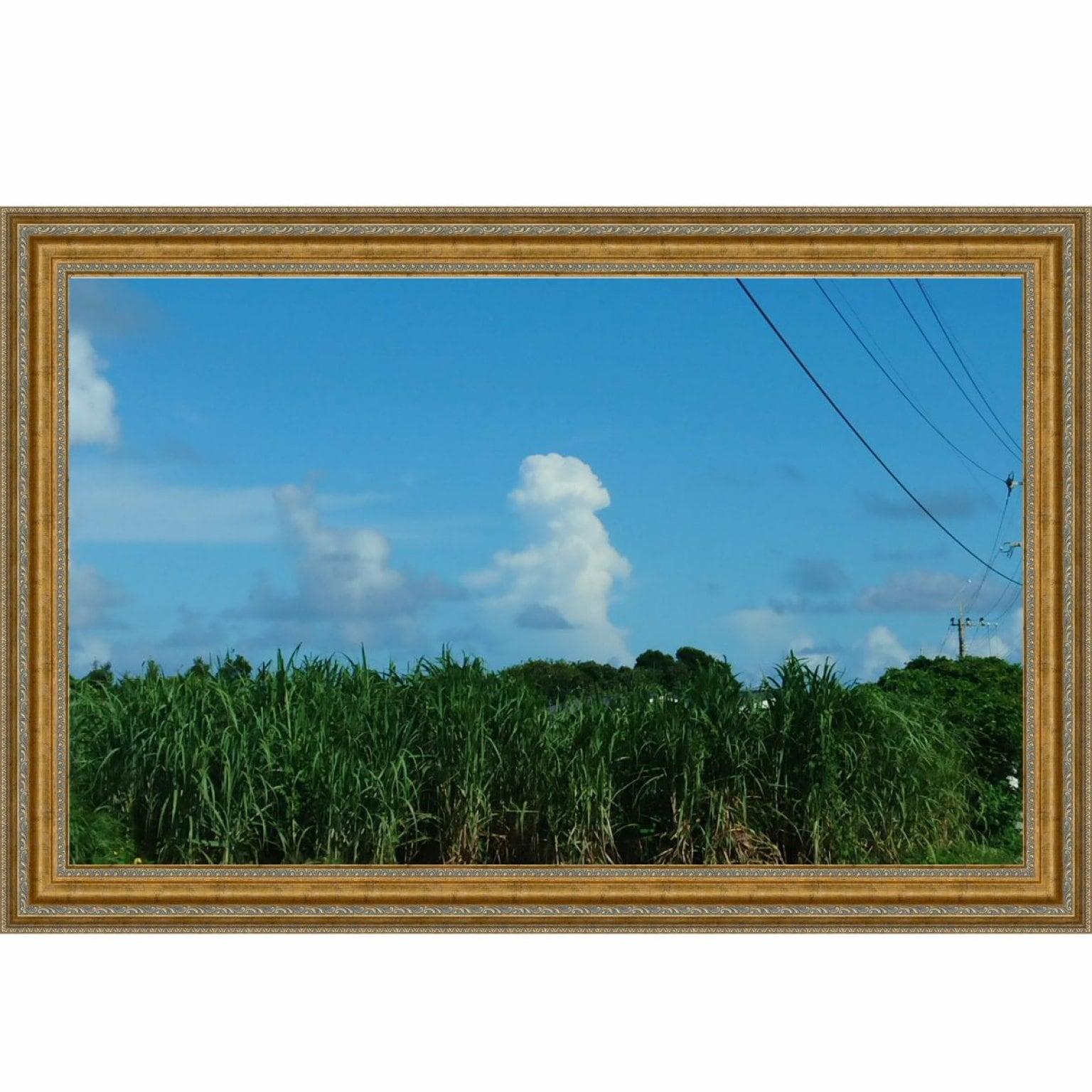 「南の宝箱 鹿児島 冬のあったか宿泊割」【与論島・星砂荘】宿泊プラン！《朝食付》【2名一部屋利用】