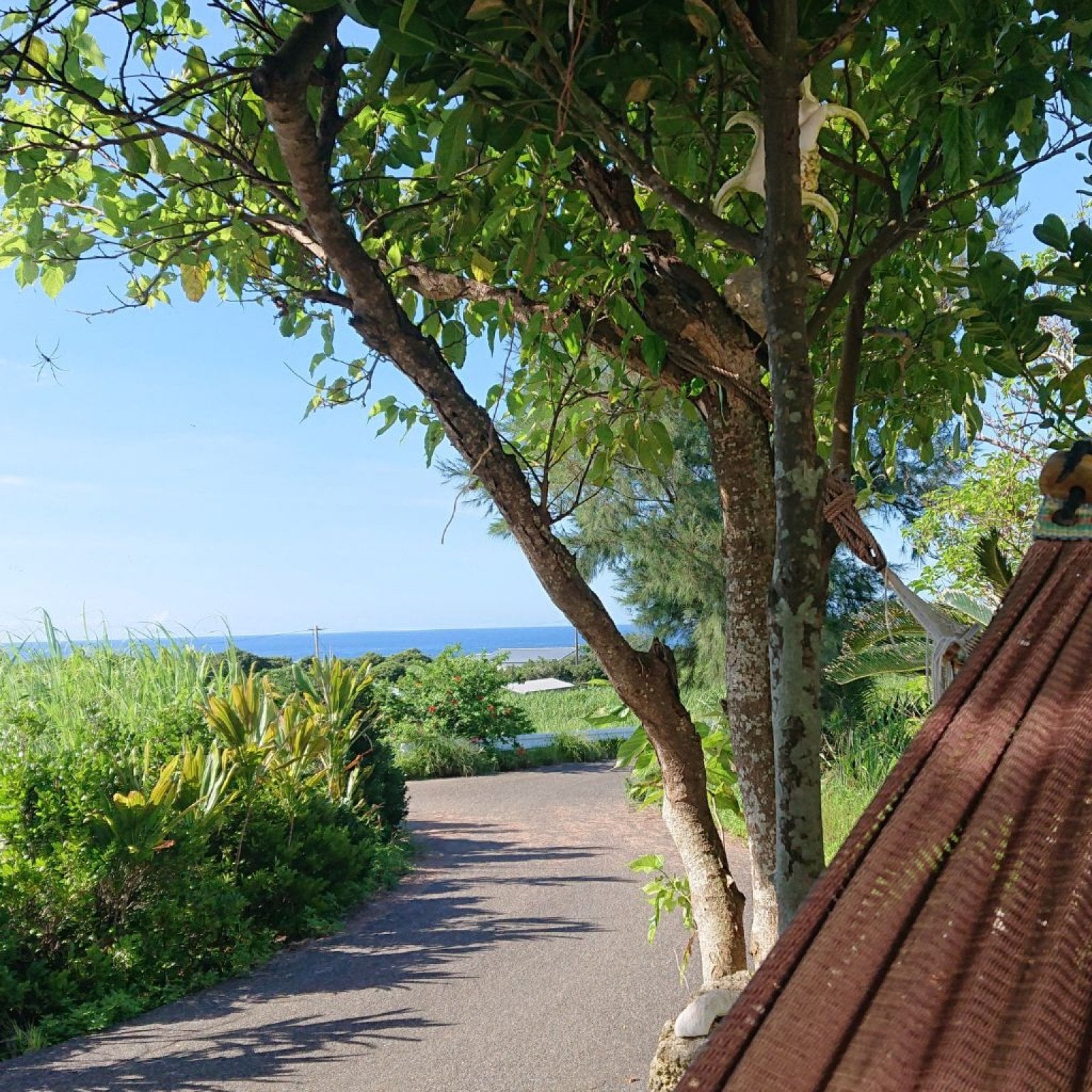 ヨロンブルーを堪能の後・ＢＢＱ＆夜空ツアー【現地決済】