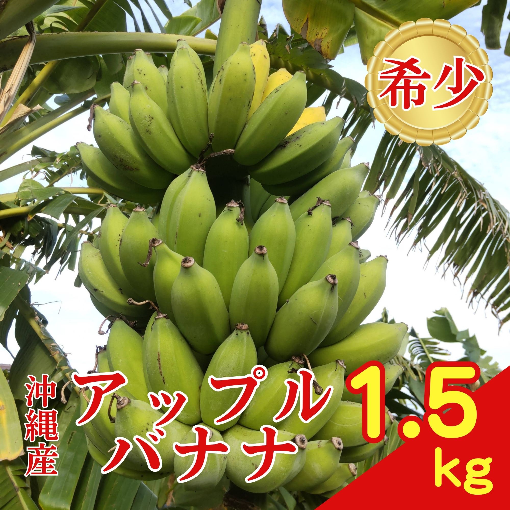 バナナ 1房 1.5kg】沖縄の太陽と大地と海の恵み無農薬バナナ