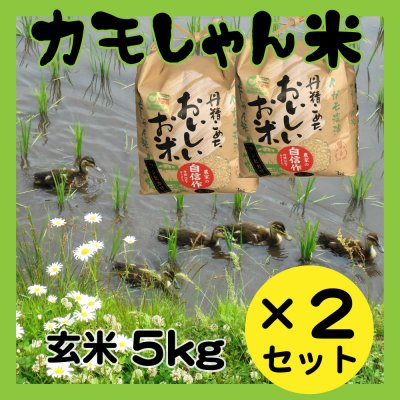 アイガモ農法の玄米5Kg×2袋｜令和５年産『うやま農園』さんのアイガモが”しゃん”と育てた【カモしゃん米】