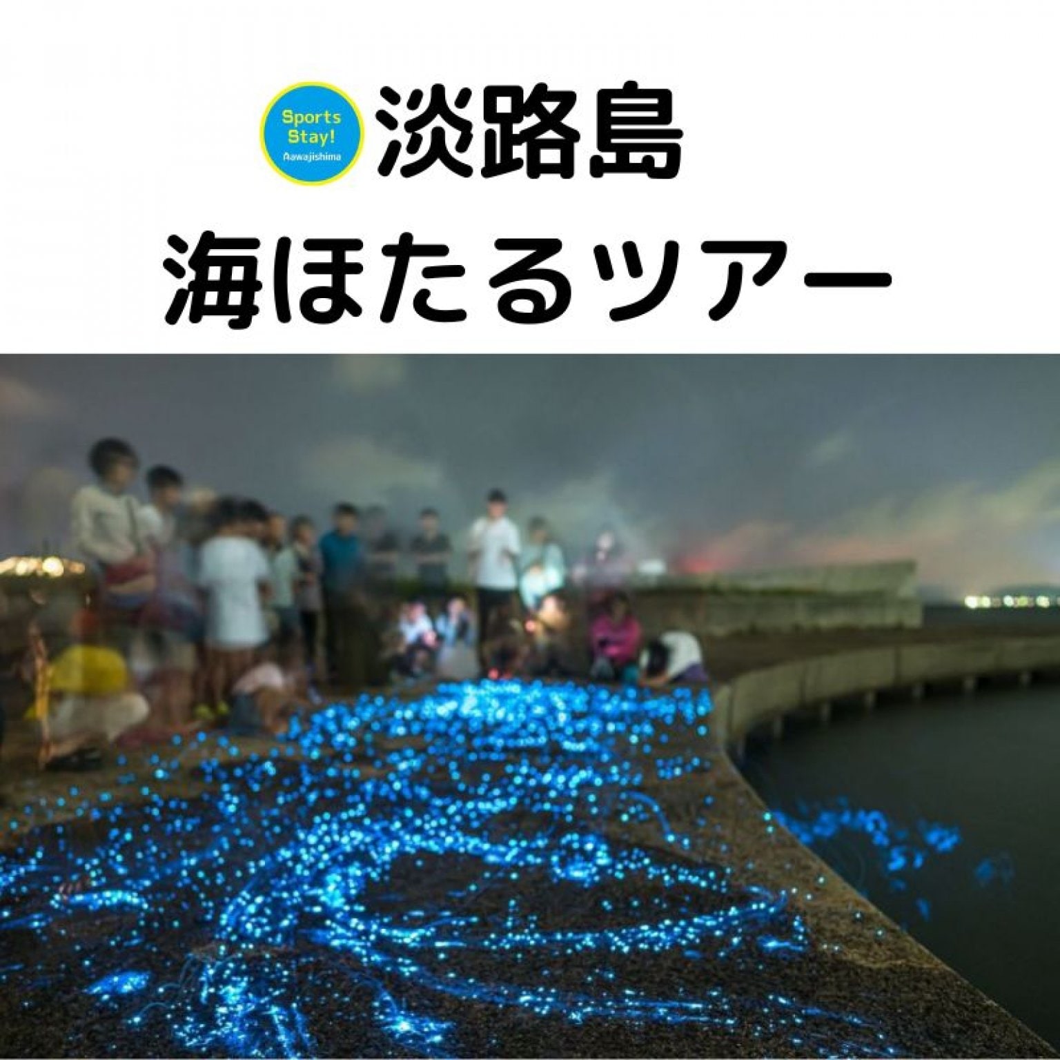 H ラグビークラブ さま(大阪) 専用　宿泊チケット