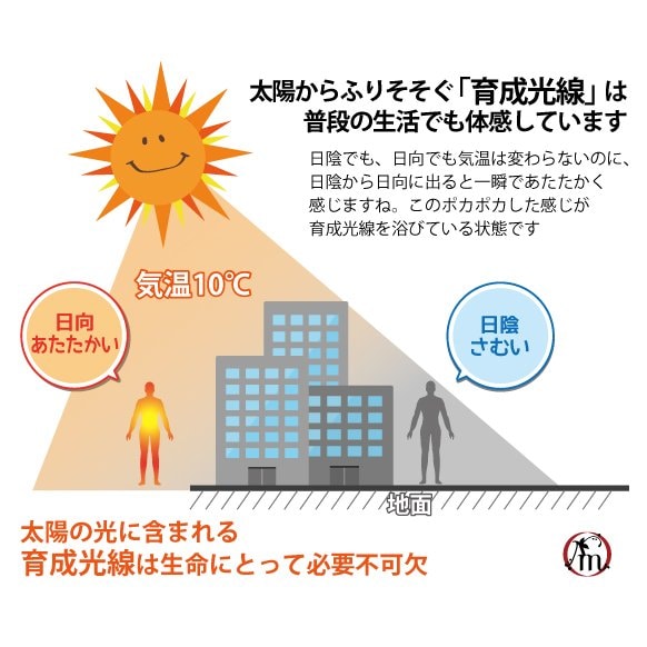 医療機関からのリクエストで出来た！遠赤王 日だまり マット 育成光線