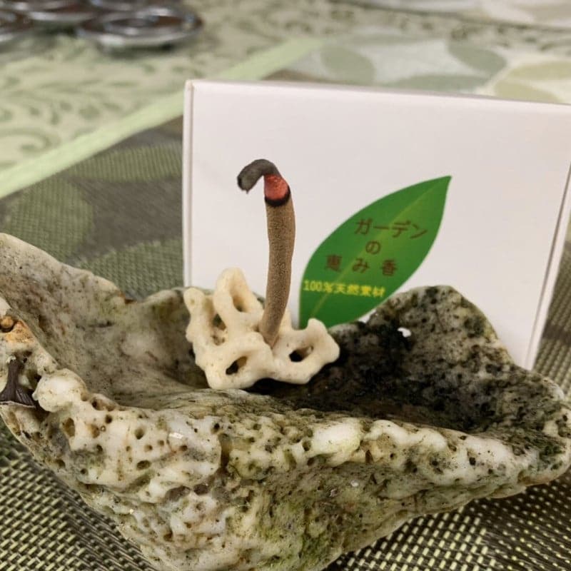 箱入・棒タイプ】ガーデンの恵み香21g(約8cm×約30本)/沖縄生まれ100